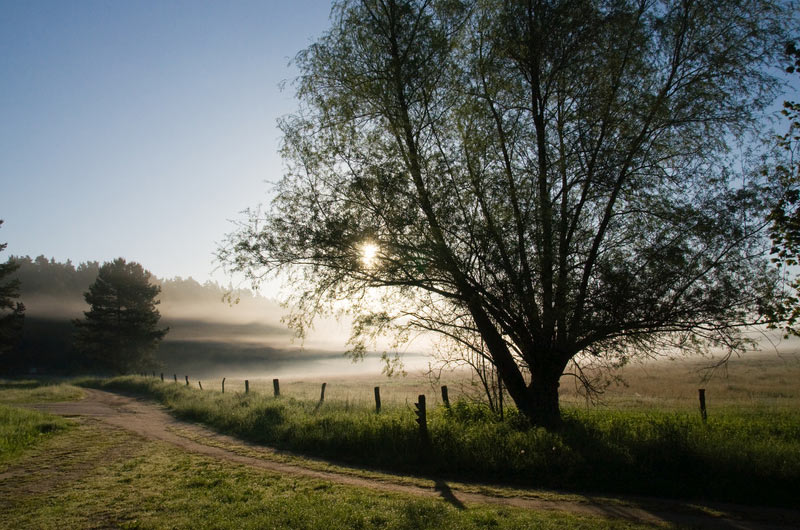 Müritz-Nationalpark