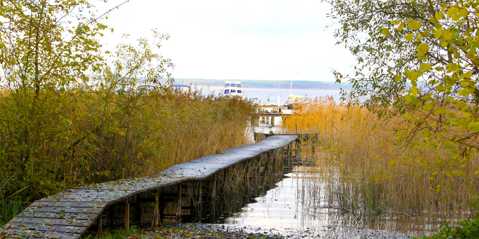 Ferienhaus Chalet am See